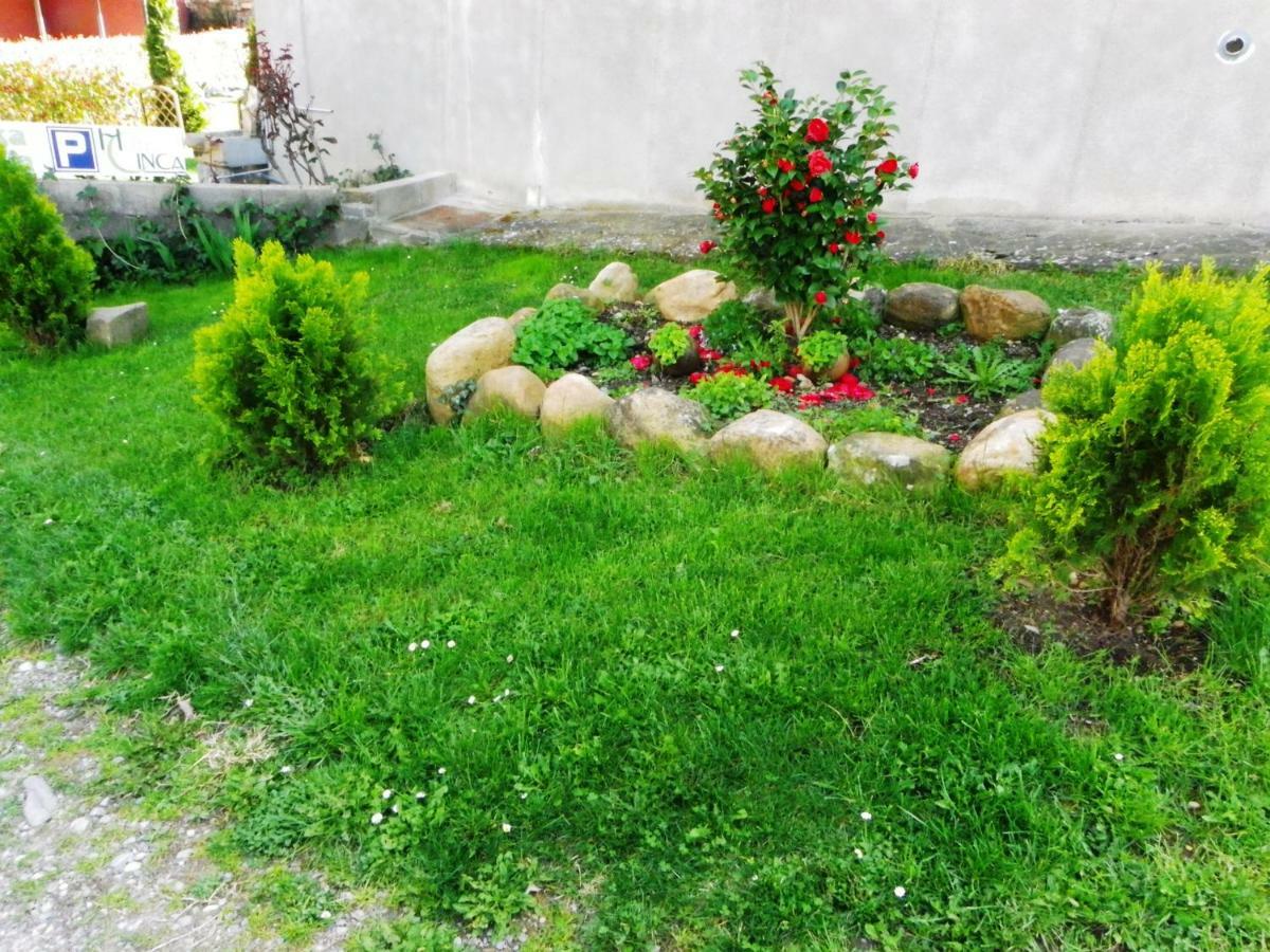 Casa Rural Sofia Ordesa Escalona Dış mekan fotoğraf